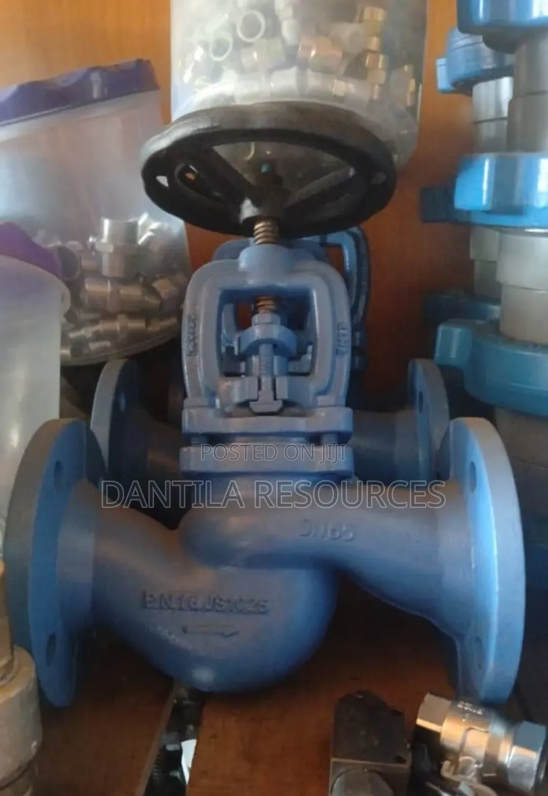 2"Cast Iron Flange Globe Valve