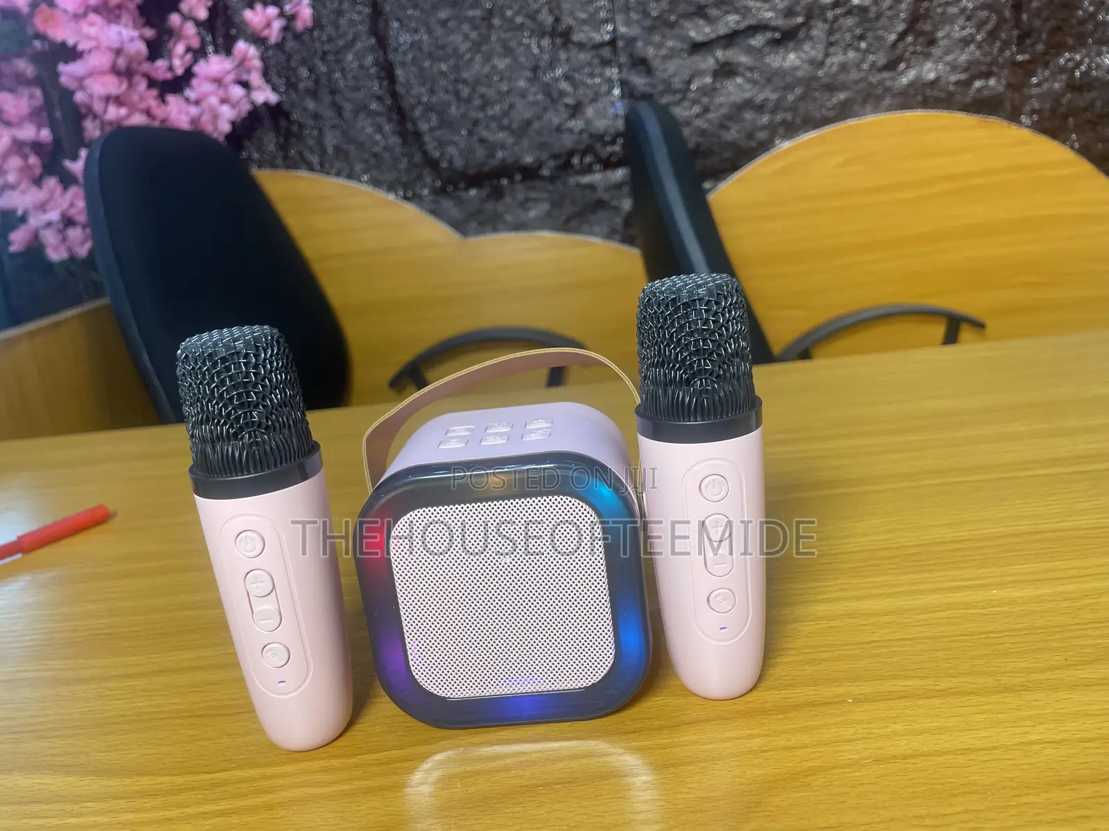 Colourfu Karaoke Sound System With Microphone