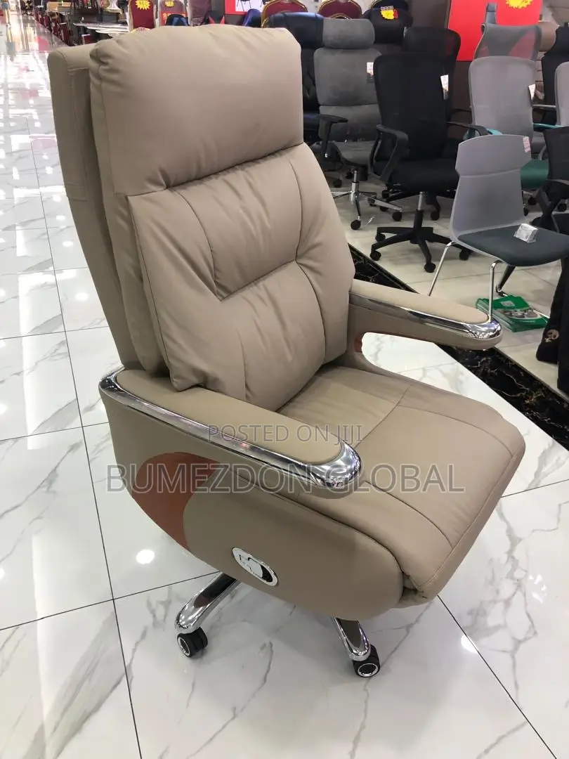 Executive Electric Chair