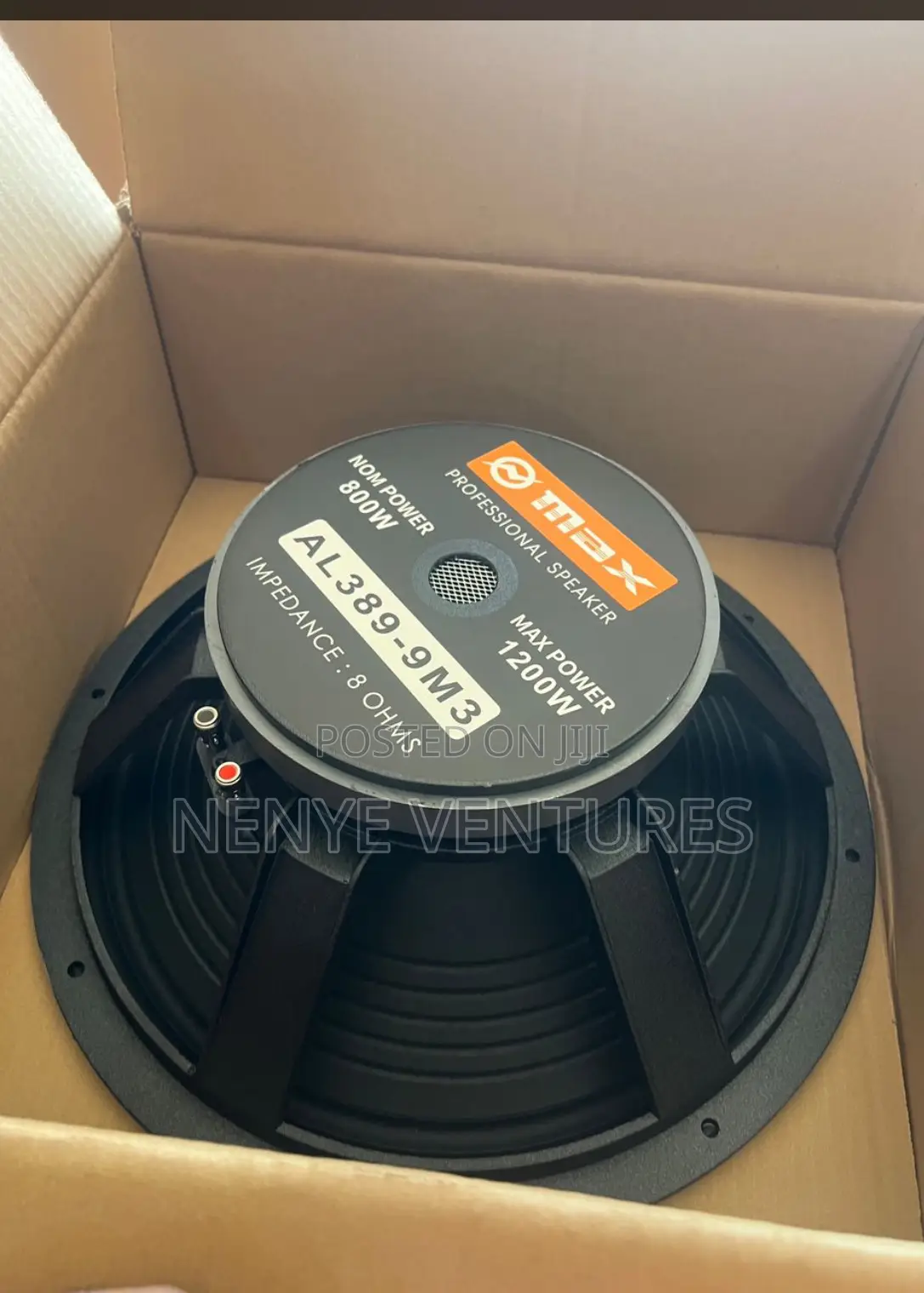 15” Naked Speaker Head