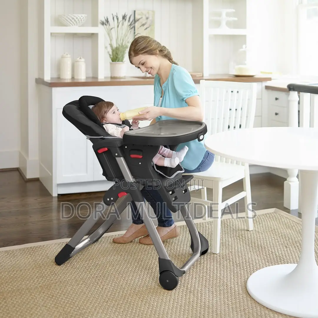 Affordable Graco All in One Convertible High Chair and Booster Seat