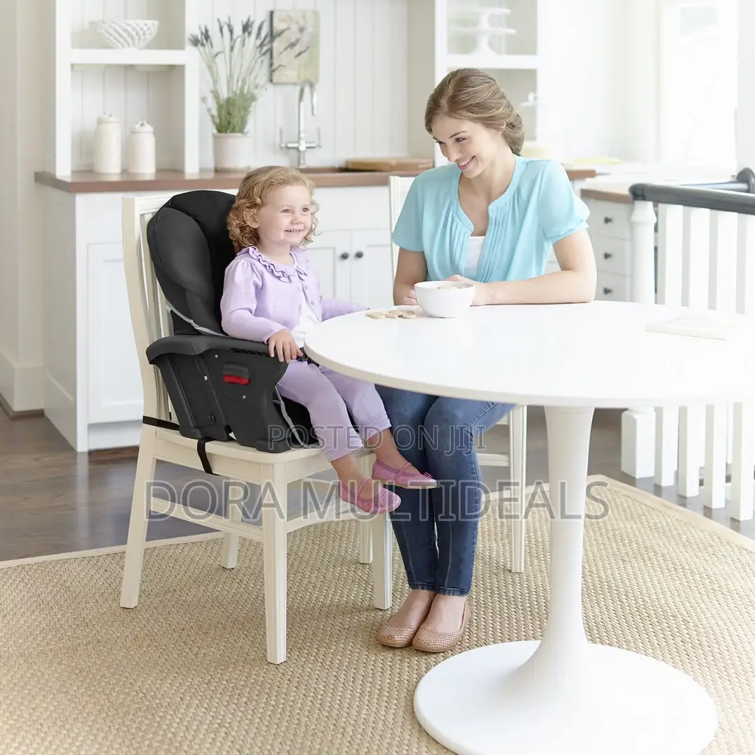 Affordable Graco All in One Convertible High Chair and Booster Seat