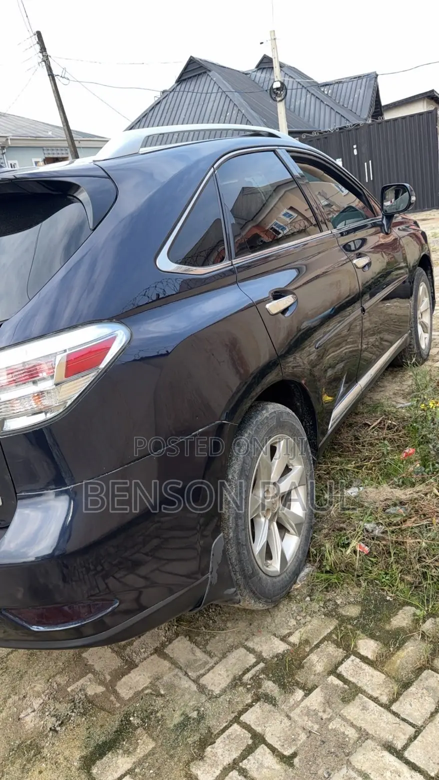 Lexus RX 2010 Blue