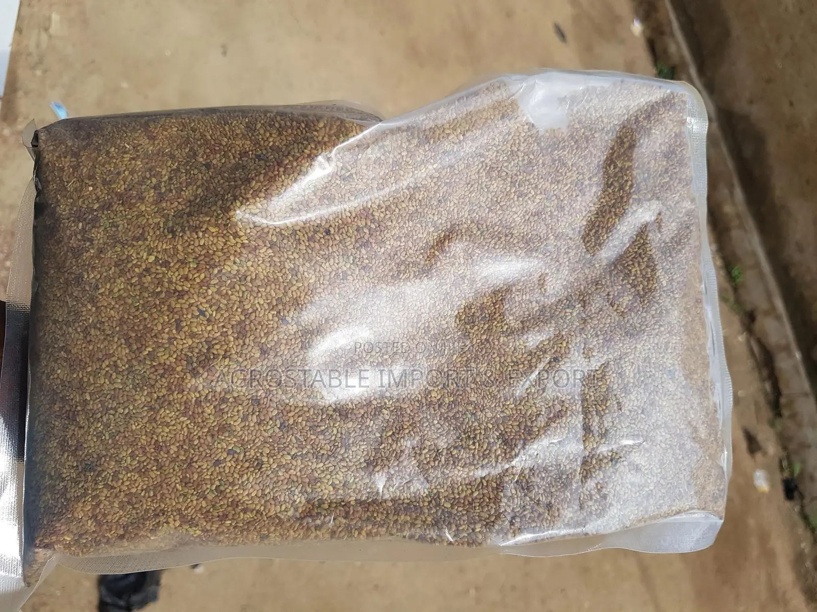 Alfalfa Seed 1kg Pack