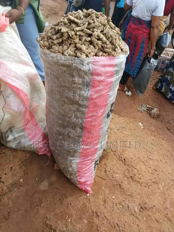 GINGER for Sale, Most Premium One. Nigerian Highest Quality Ginger