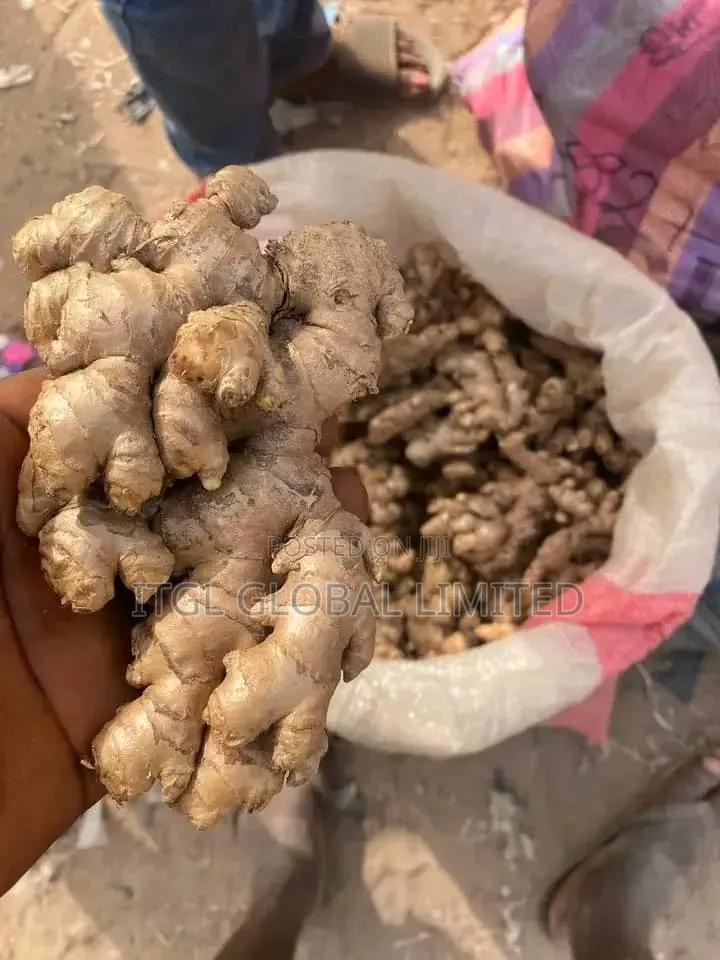 GINGER for Sale, Most Premium One. Nigerian Highest Quality Ginger