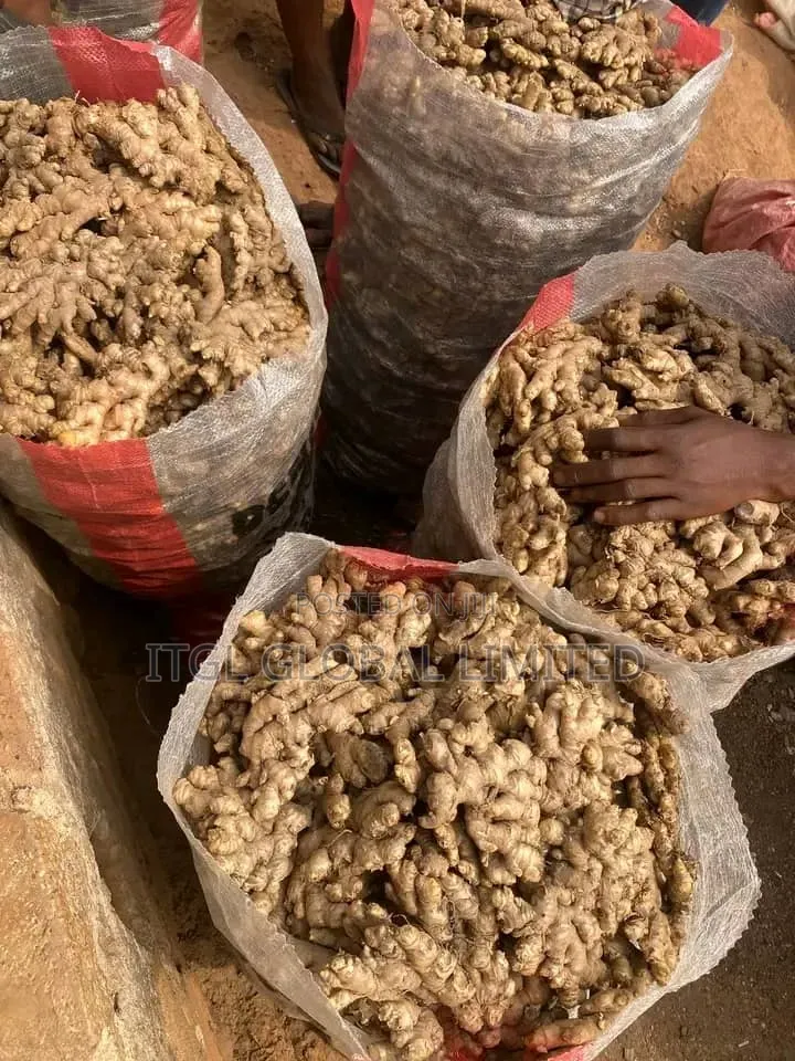 GINGER for Sale, Most Premium One. Nigerian Highest Quality Ginger