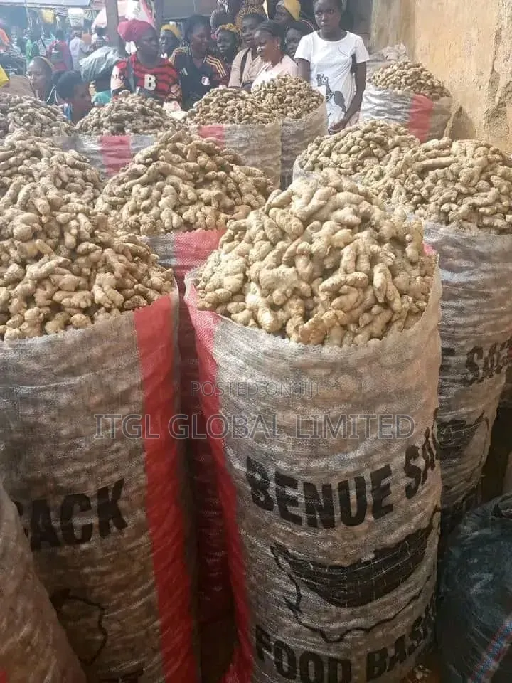 GINGER for Sale, Most Premium One. Nigerian Highest Quality Ginger