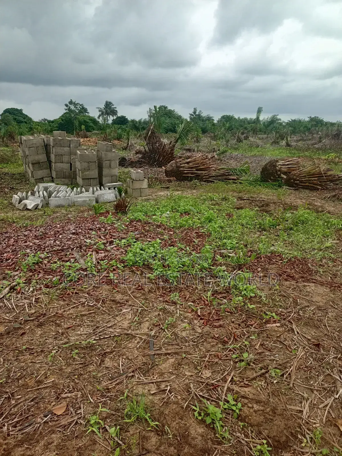 Pre-Launch Land for Sale, Lagos Calabar Coastal Road Lagos