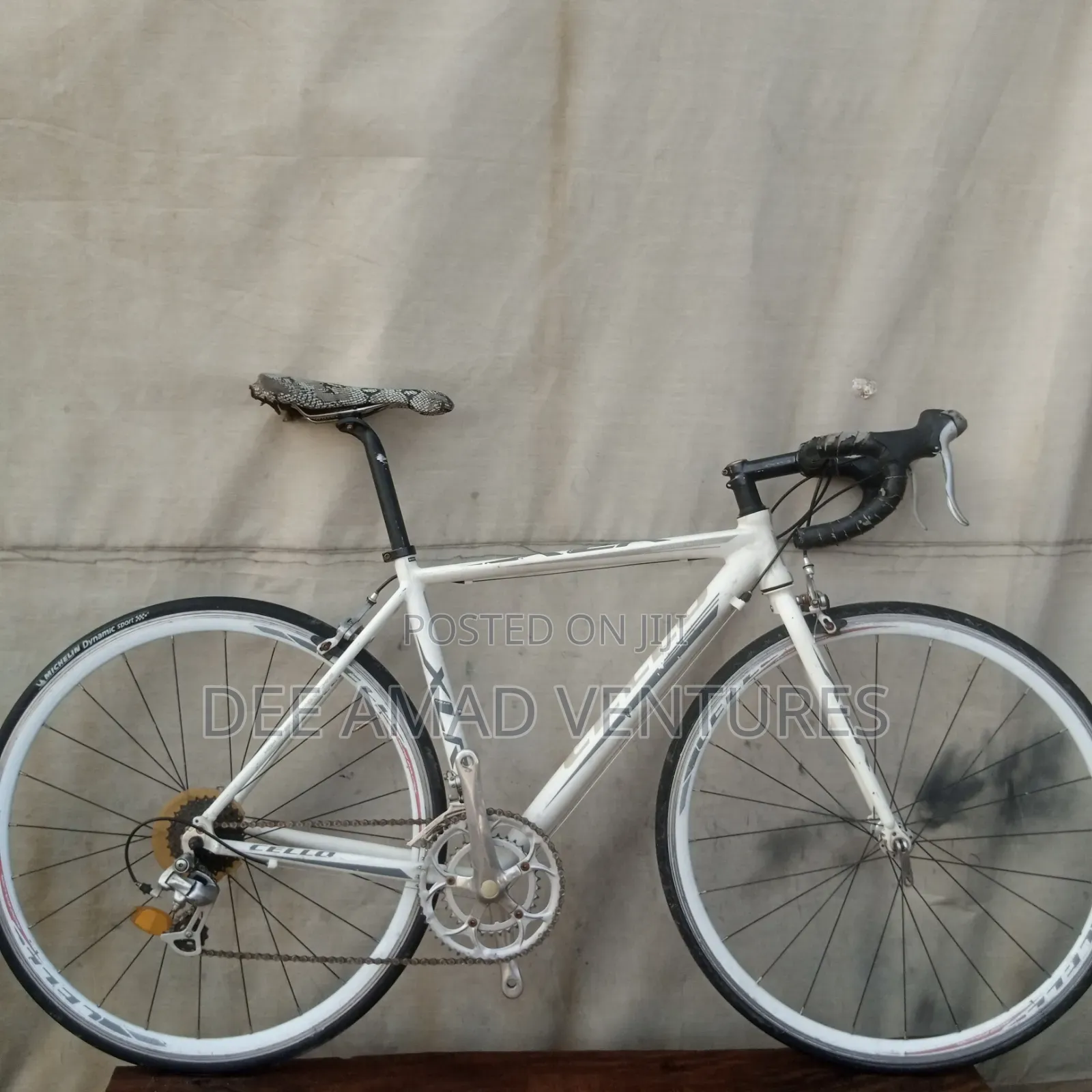 Professional Sports Bicycle