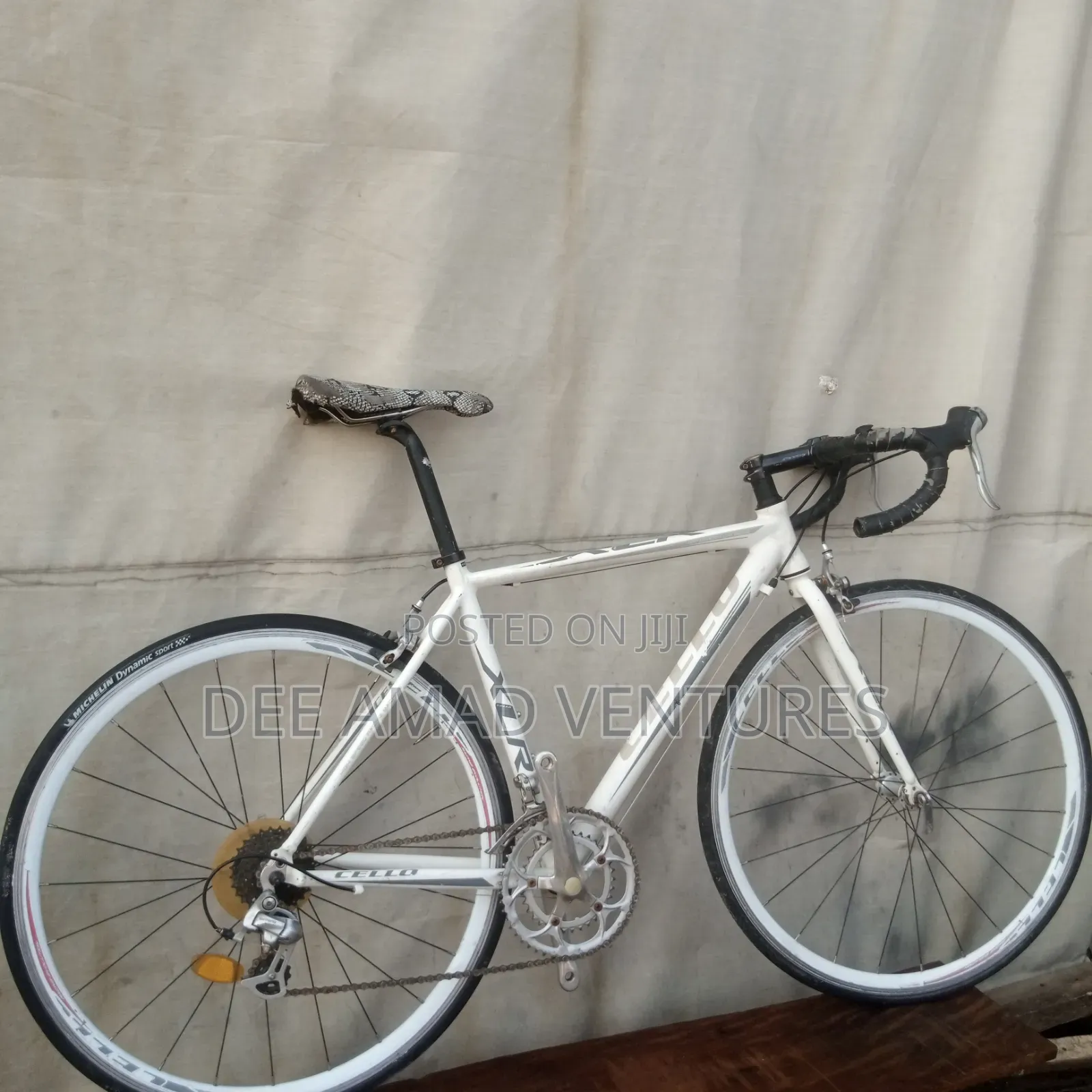 Professional Sports Bicycle