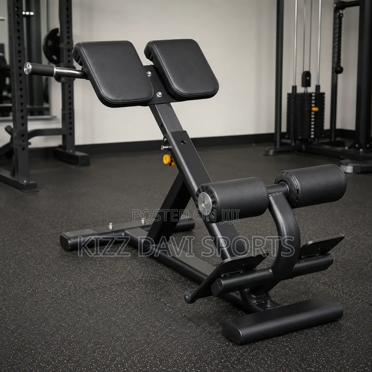 Roman Chair / 45° Back Extension Bench Hyperextension Bench