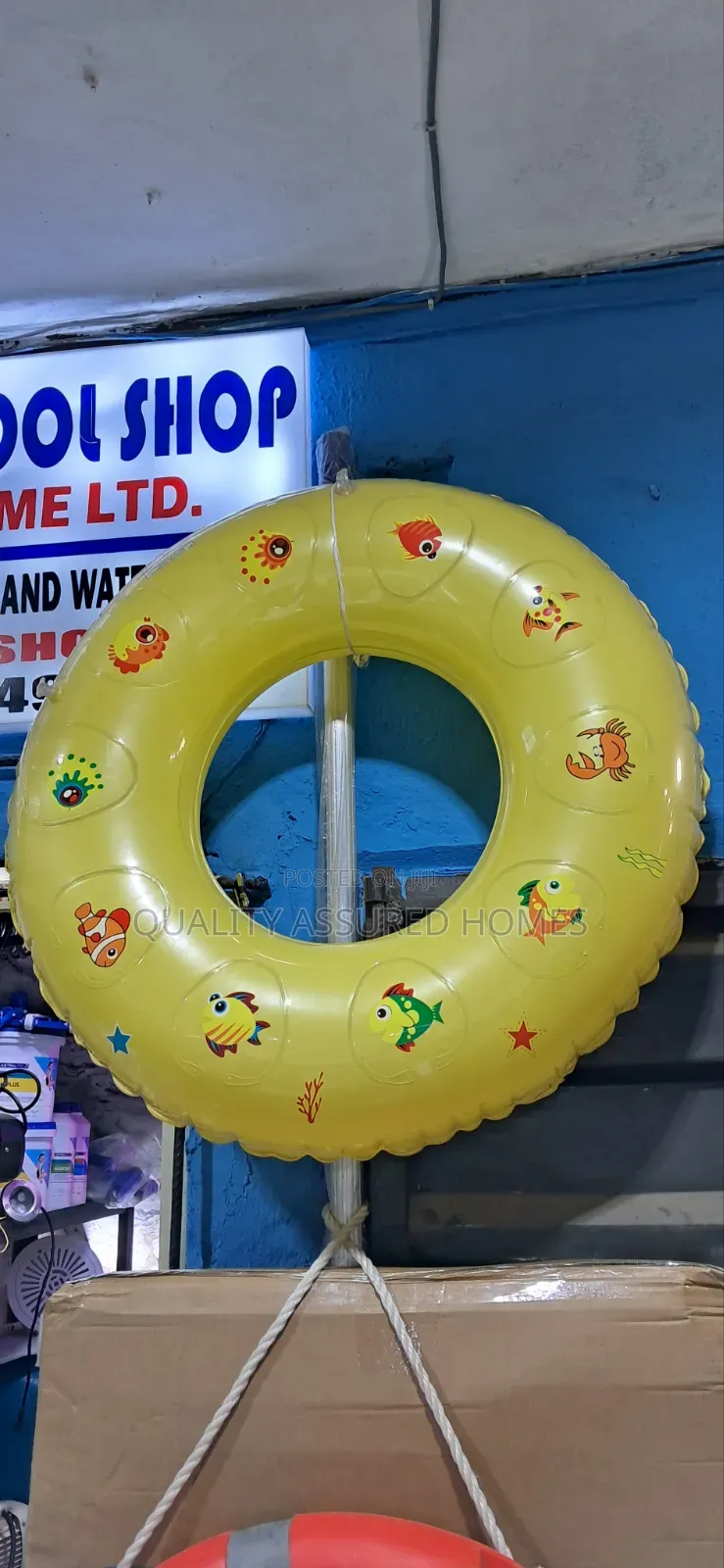 Swimming Pool Floater