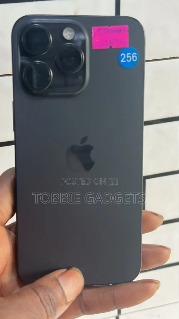 Apple iPhone 15 Pro Max 256 GB Gray
