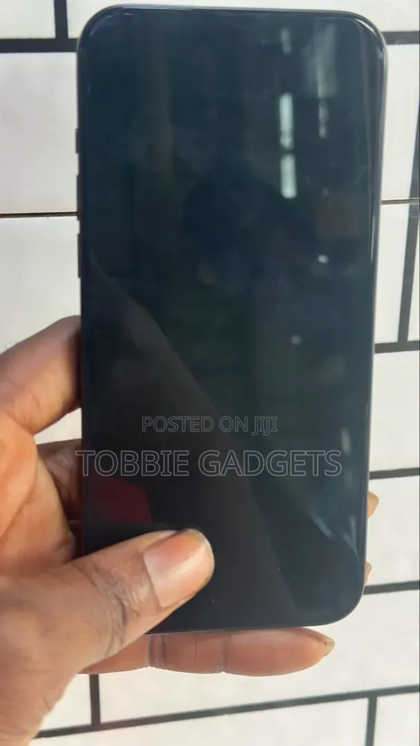 Apple iPhone 15 Pro Max 256 GB Gray