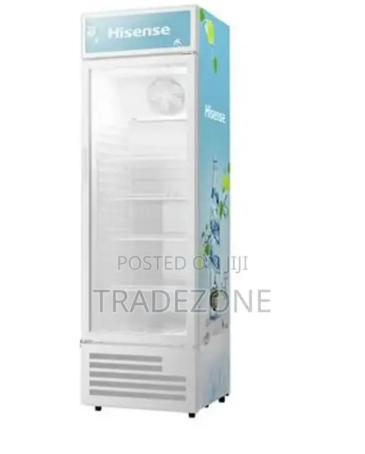 Hisense 205 Liters Showcase Display Chiller | FL 31FC