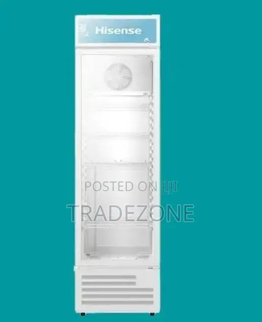 Hisense FL 36FC 251 Litres Beverage Chiller