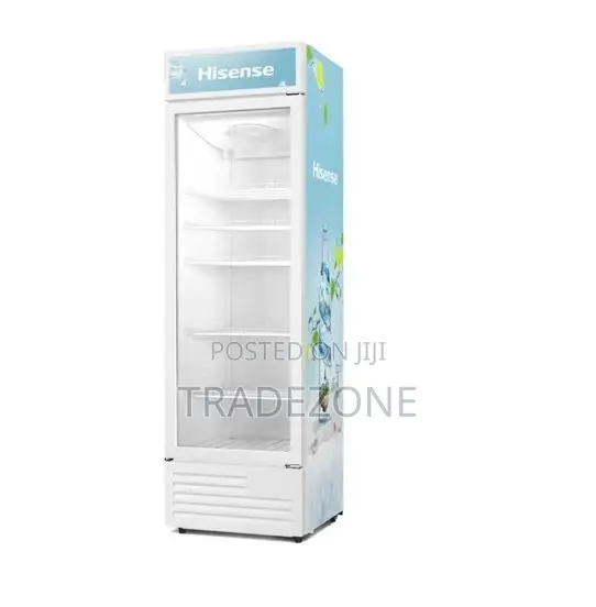 Hisense 367 Liters Showcase Display Chiller | FL 51FC