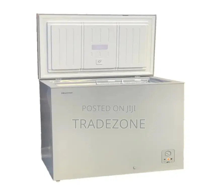 Hisense 372 Liters Fast Freezing Chest Freezer | FRZ FC 480SH