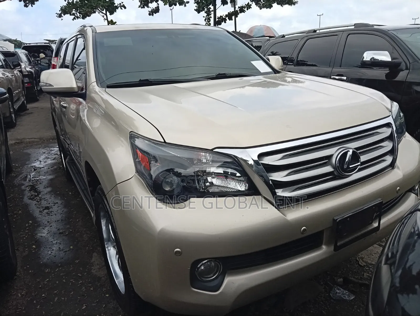 Lexus GX 2013 Gold