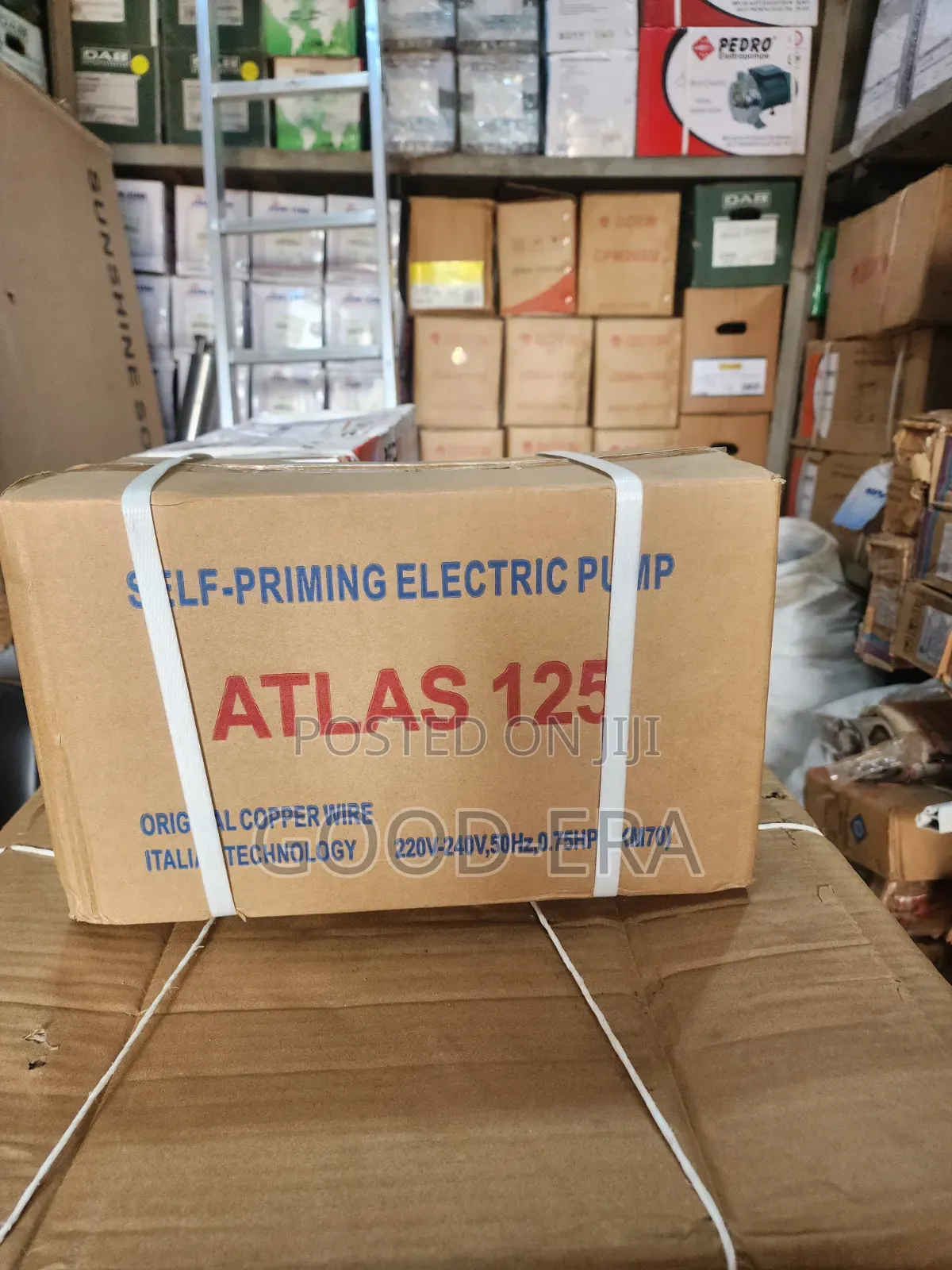 Atlas 0.75 Surface Pump
