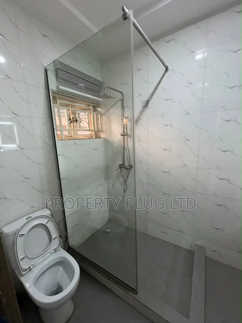 Furnished 4bdrm Duplex in Asokoro for rent