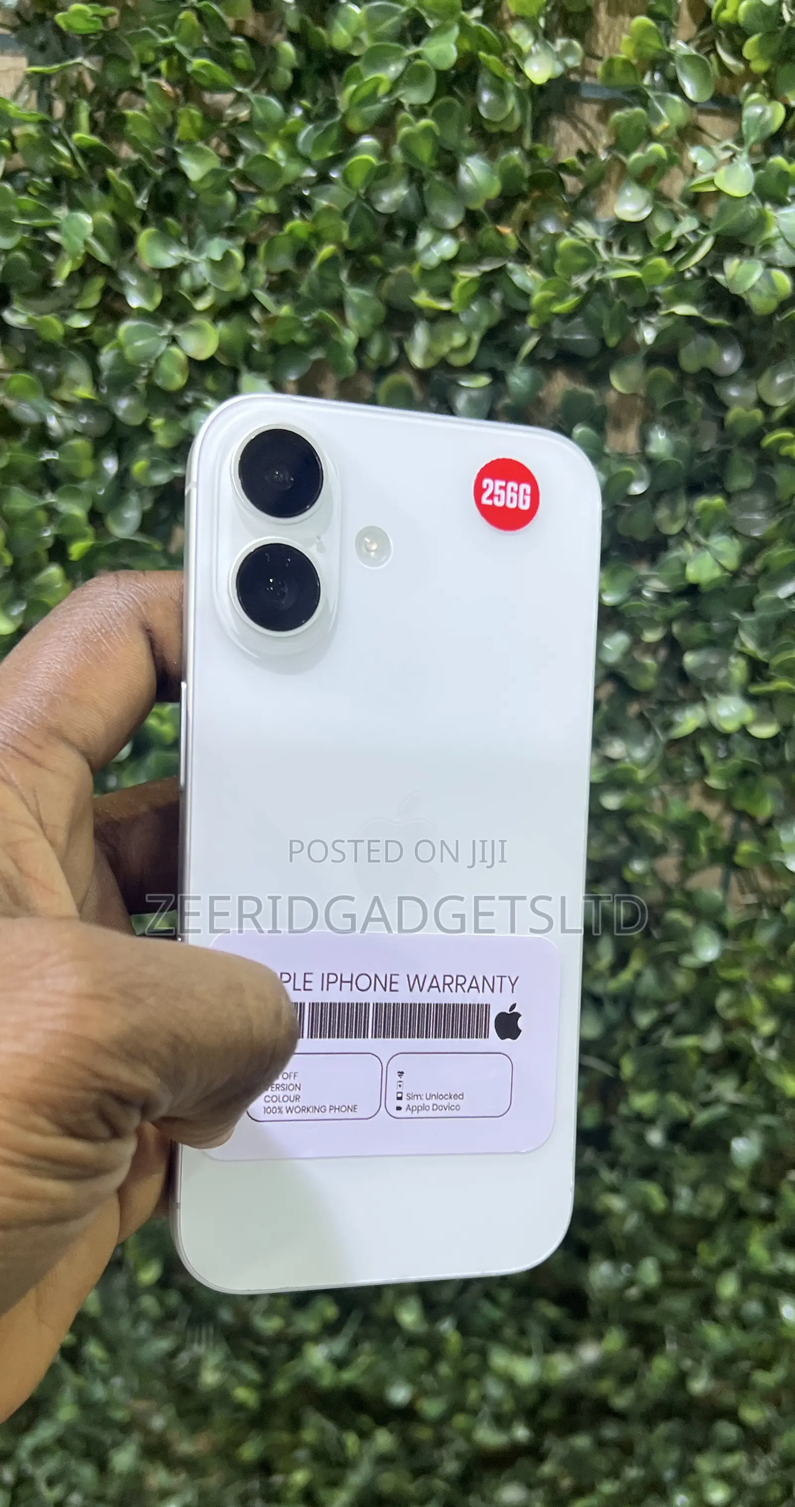 Apple iPhone 16 256 GB White