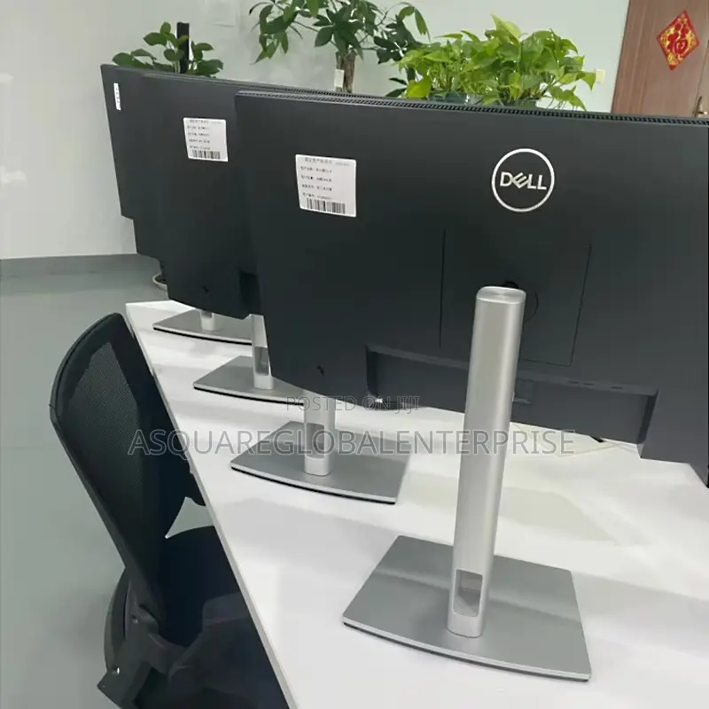 Dell P2422h 24 Inch Professional IPs Display Monitor