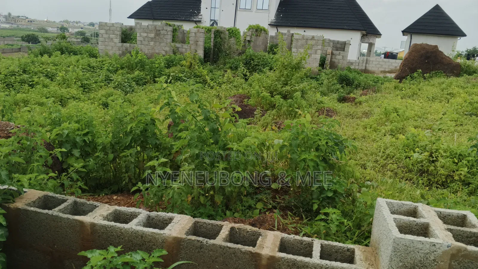 Great Land for Sale 1000sqm.