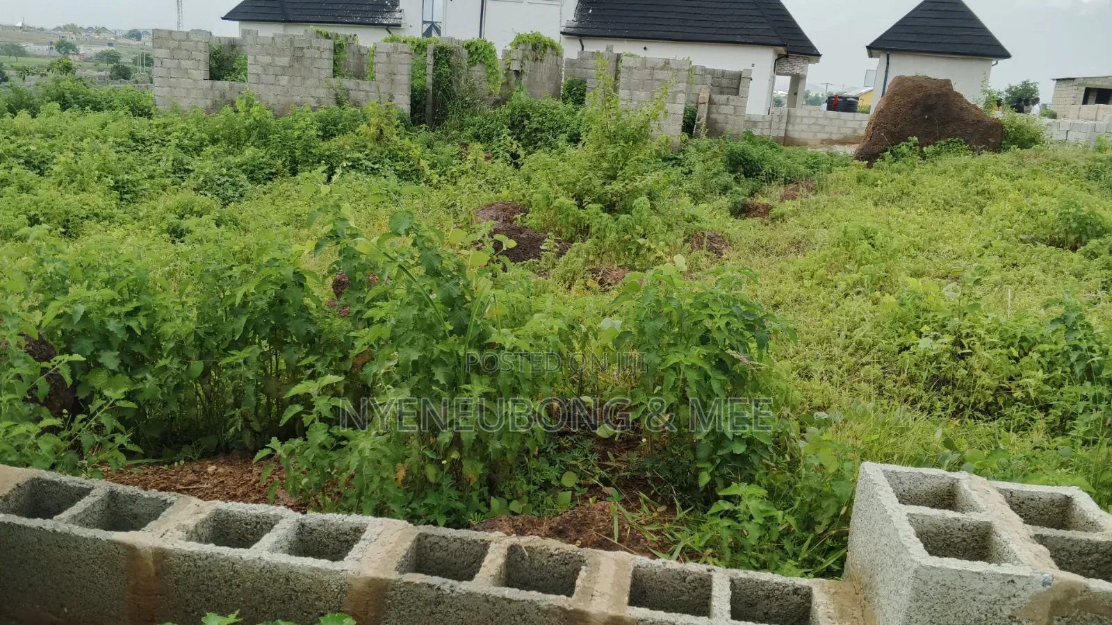Great Land for Sale 1000sqm.