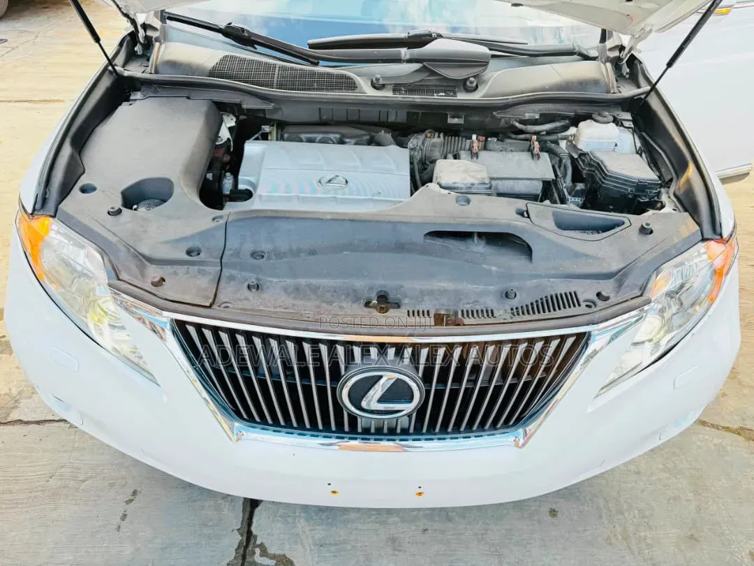 Lexus RX 2011 White