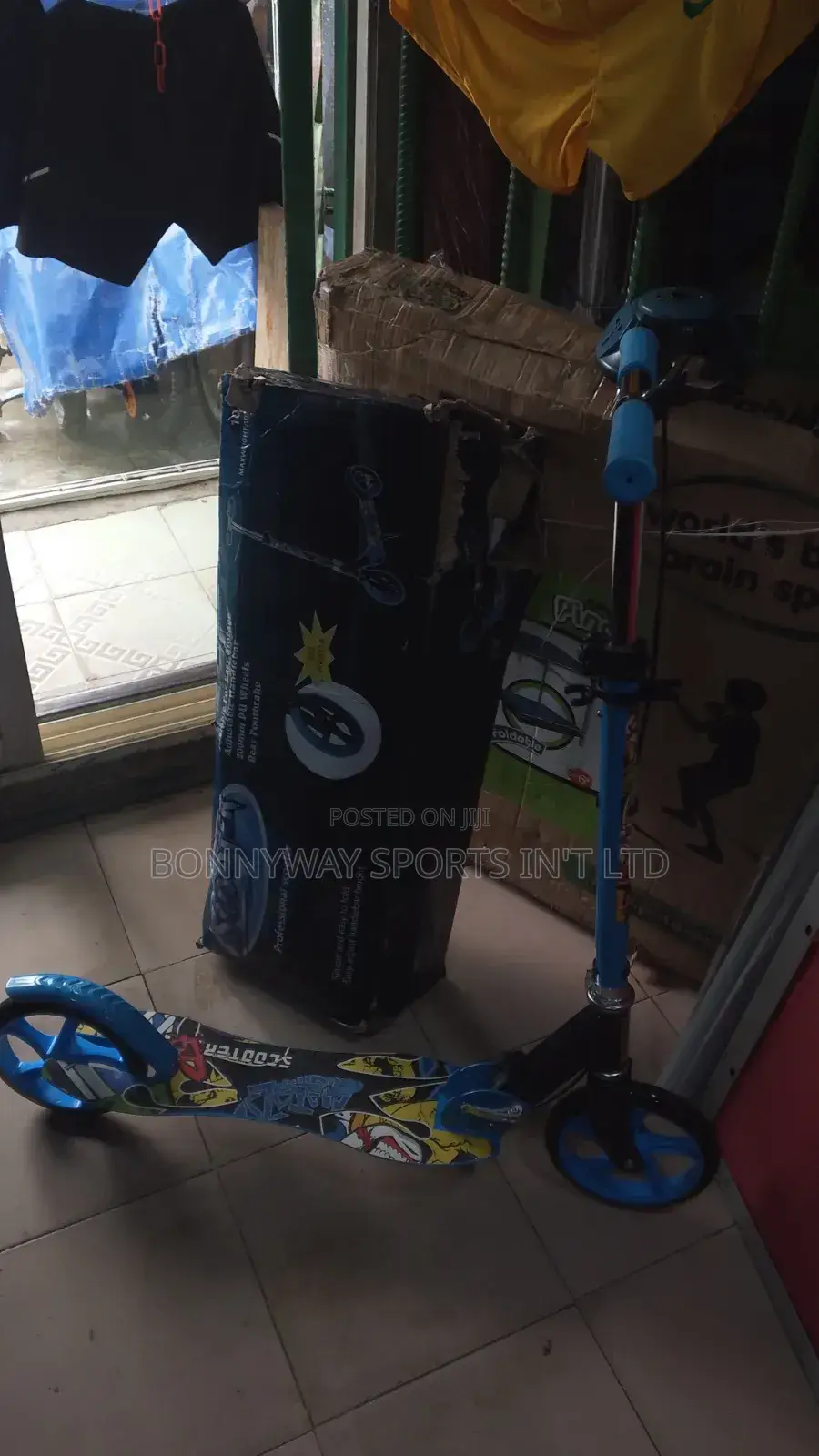 Adult Scooter