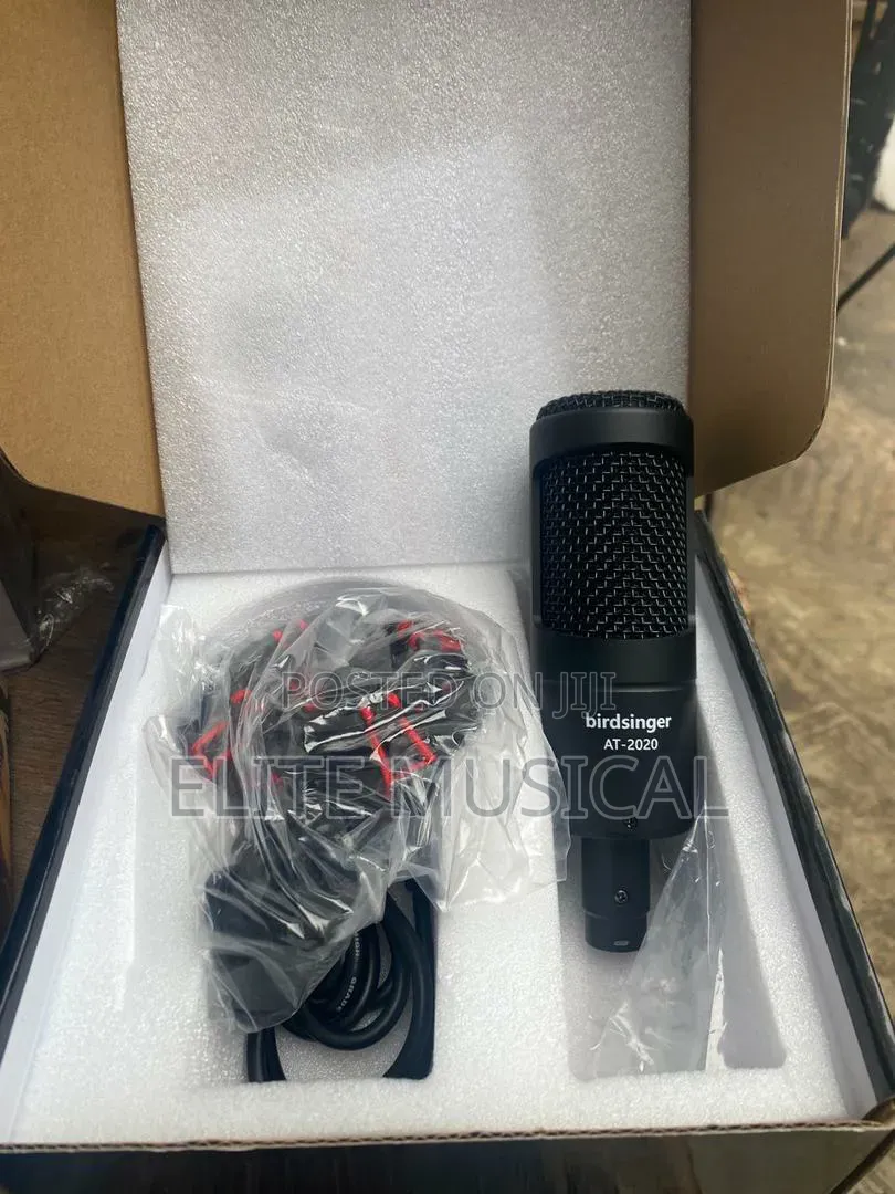 Professional Set of Studio Mic Sound Card and Headphones