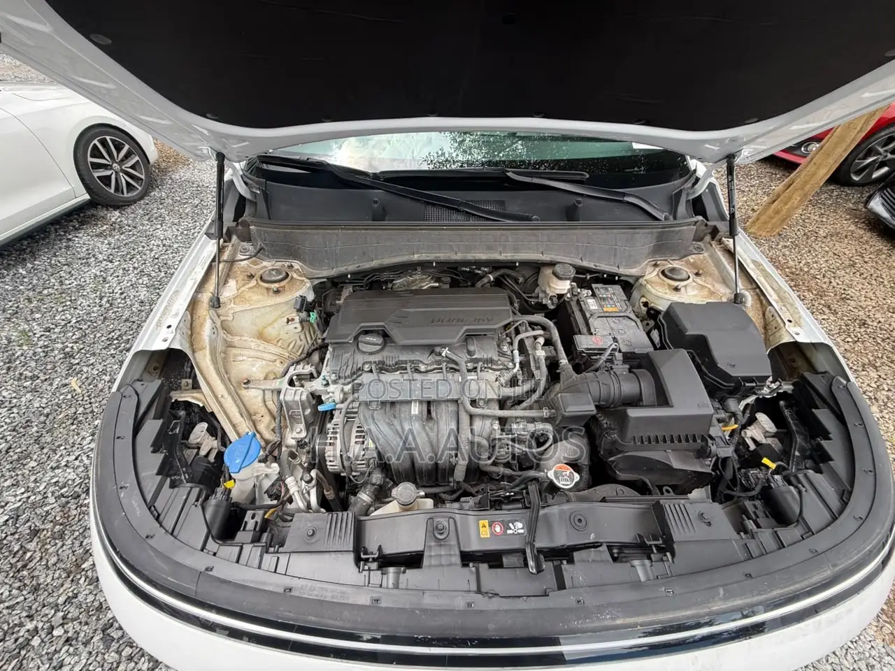 Hyundai Kona Limited AWD 2025 White