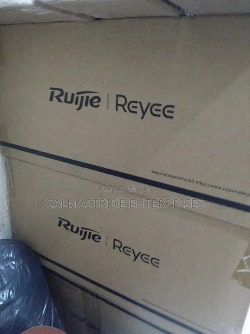 Ruijie Outdoor Access Point