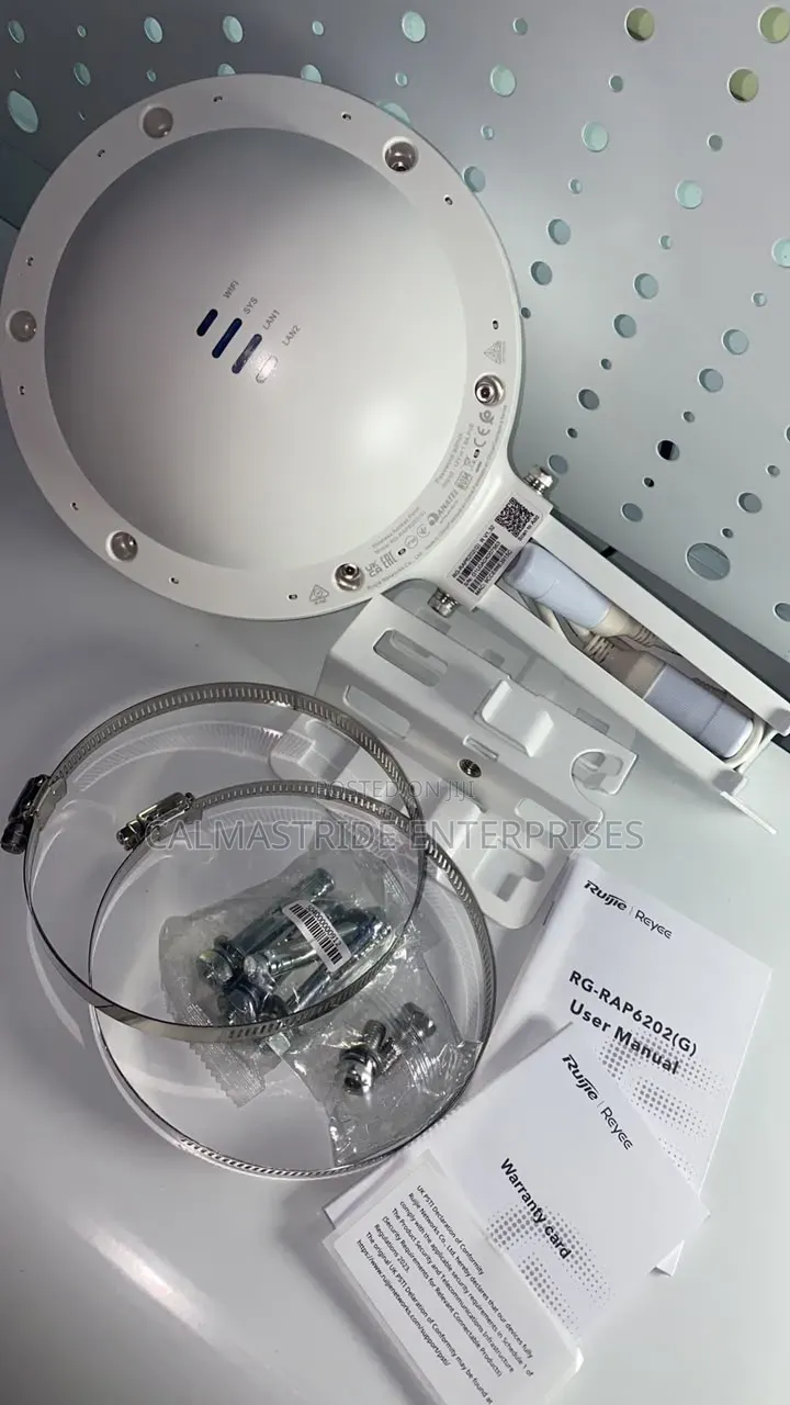 Ruijie Outdoor Access Point