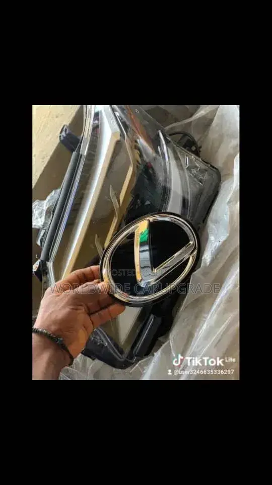 Lexus Front Logo 30,000