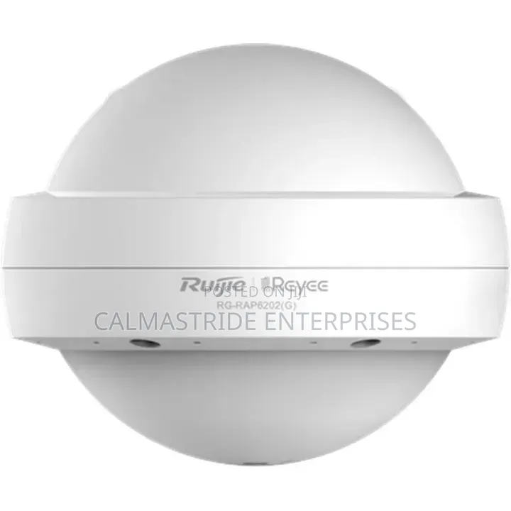Ruijie Outdoor Access Point