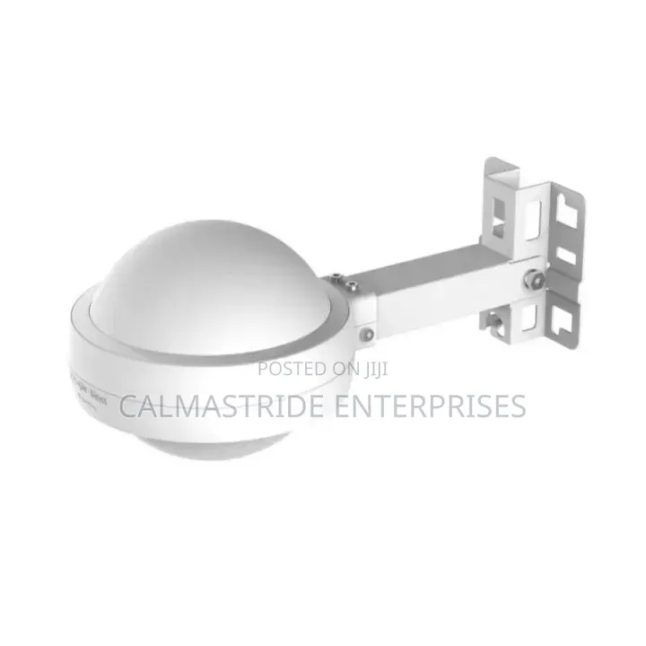 Ruijie Outdoor Access Point
