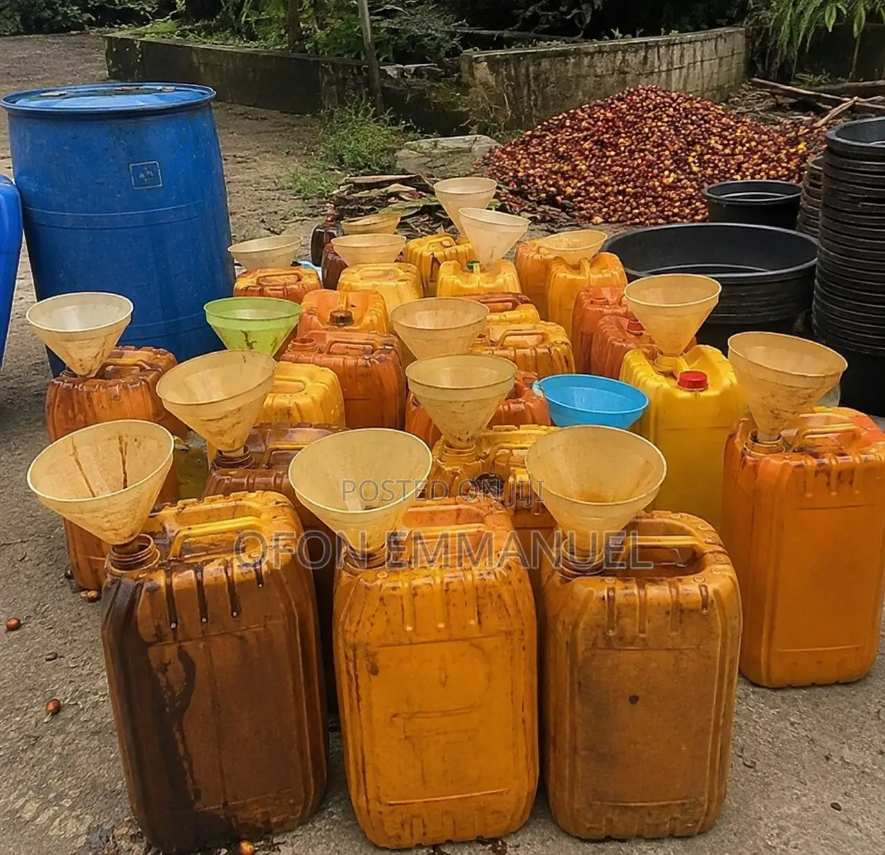 Bulk Palm Kernel Oil (Hot Pressed) - Supplier