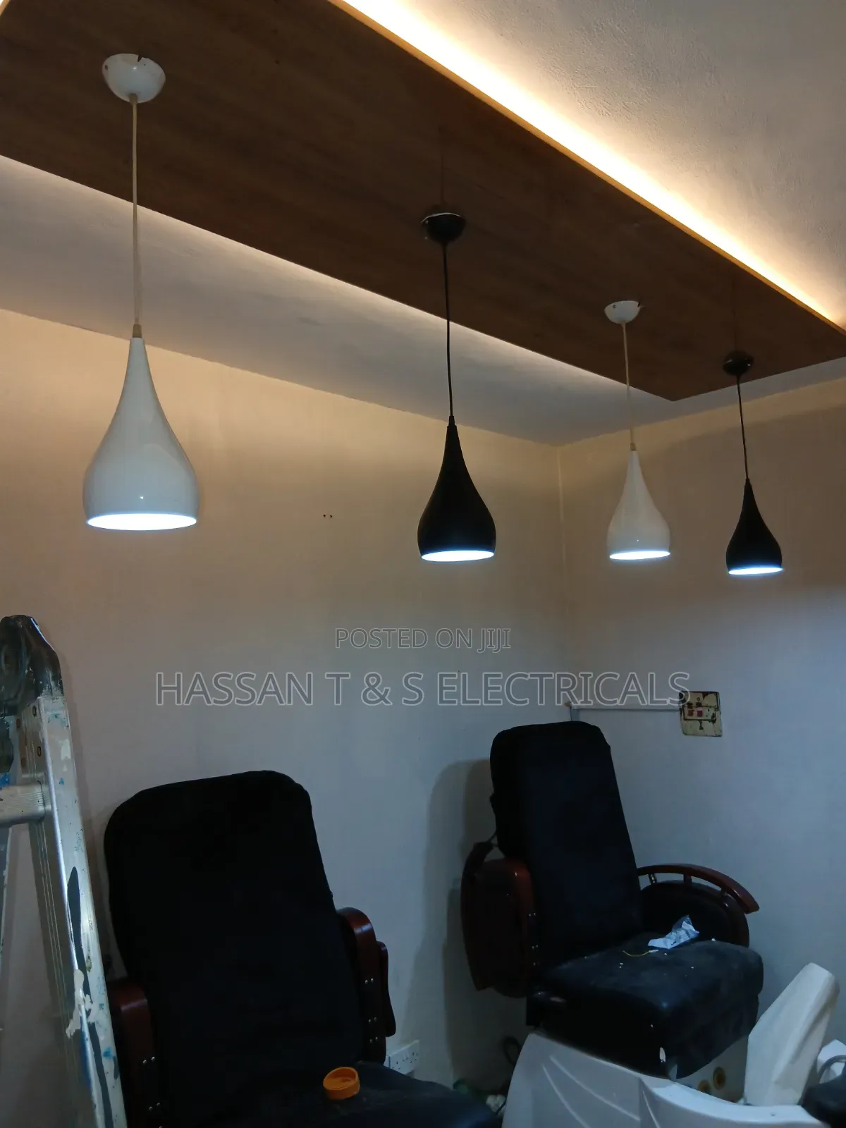 Professional Electrician