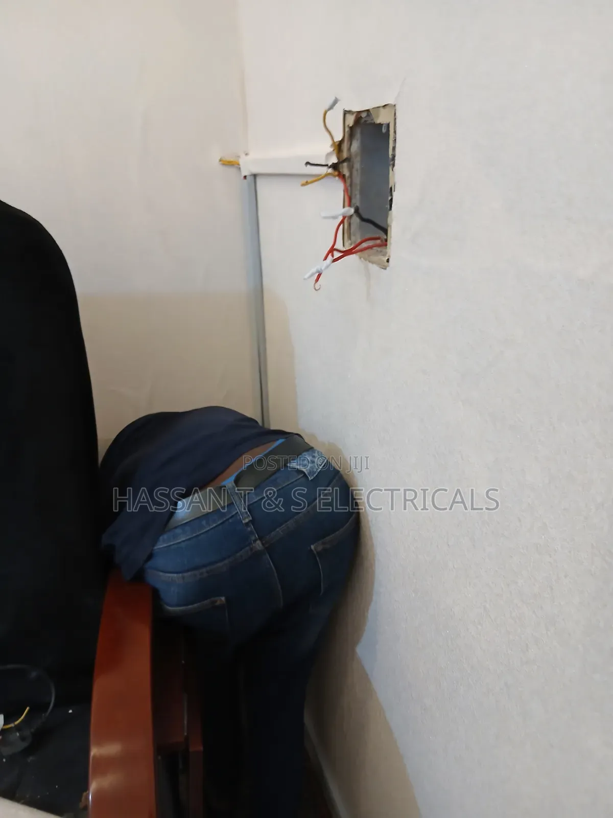 Professional Electrician