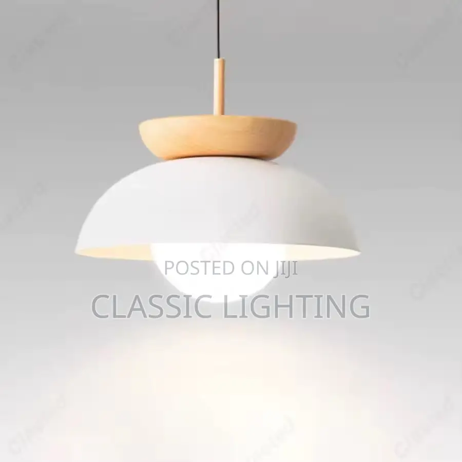 Pendant Lamp Modern Hanging Light Fixture for Living Room Bedroom