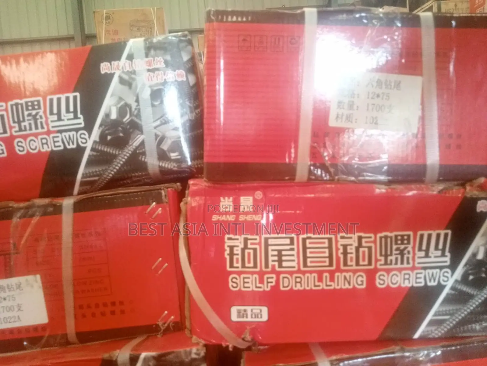 12×75mm Self-Drilling Screws