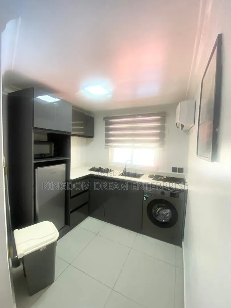 Furnished Mini Flat in Glover Ikoyi Lagos for rent