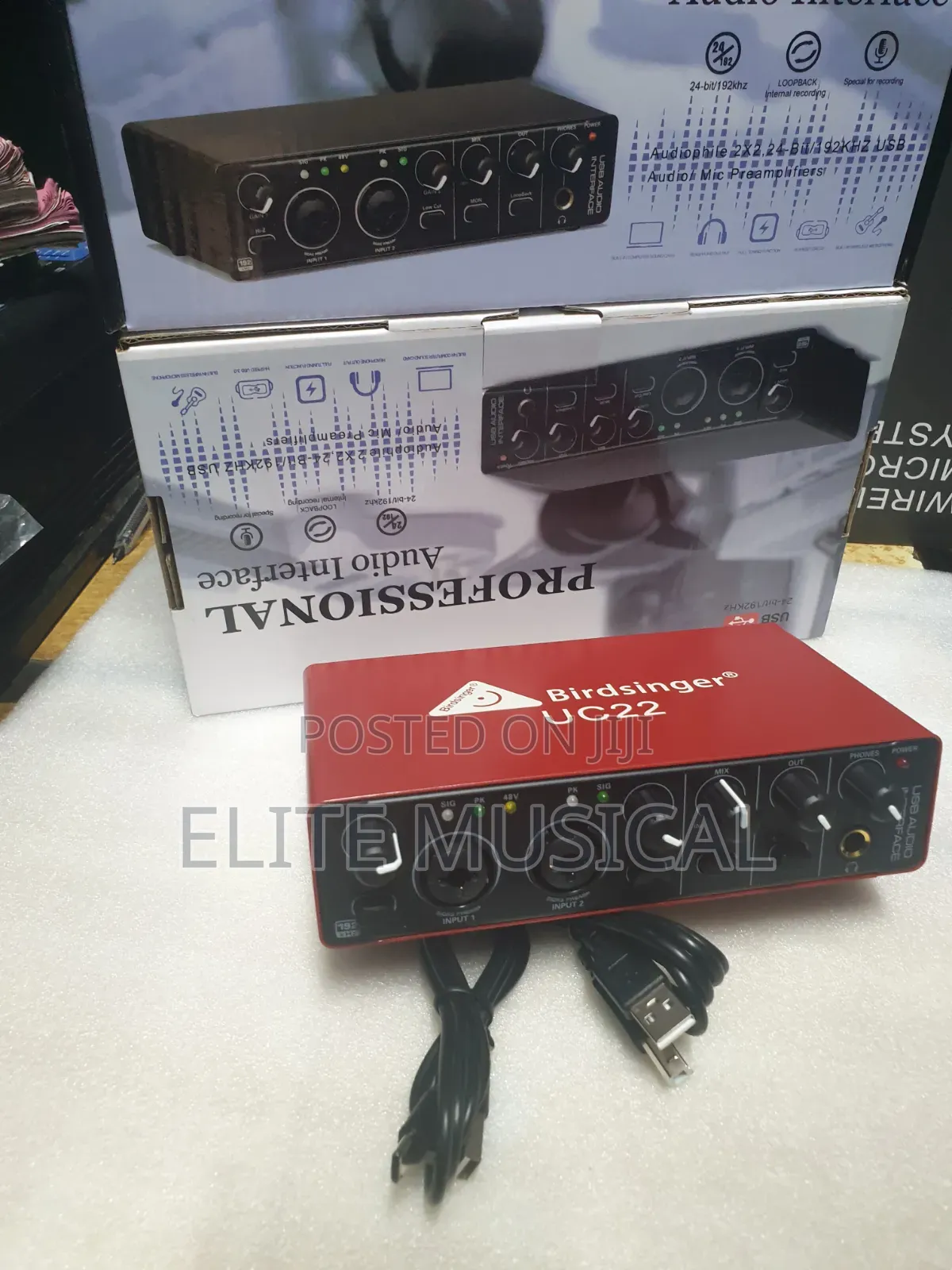 High Quality Bridsinger Uc22 Audio Interface Sound Card