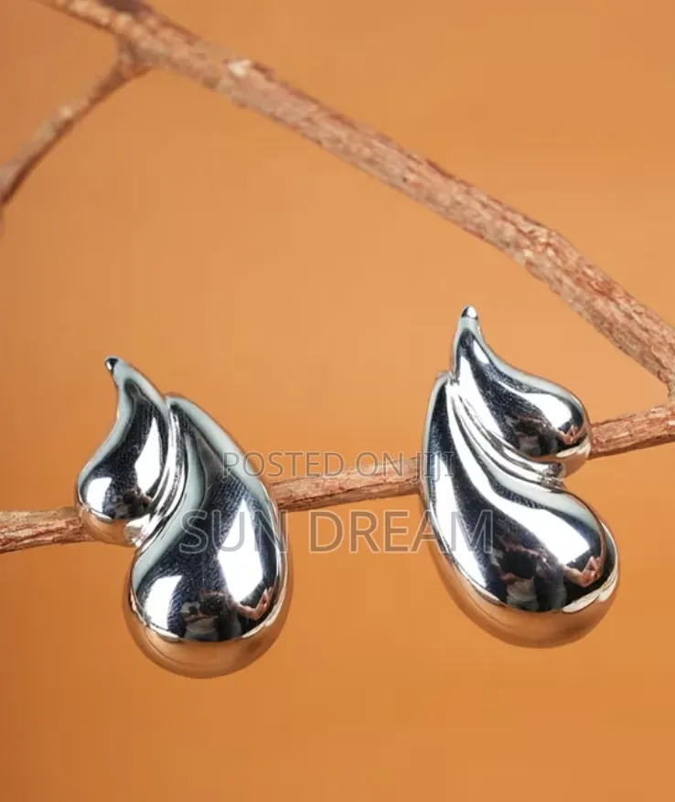 Fashion Modern Gift Ladies Earrings