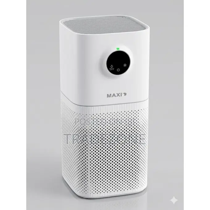 Maxi Air Purifier With True Hepa Filter-Ap400 G-L1