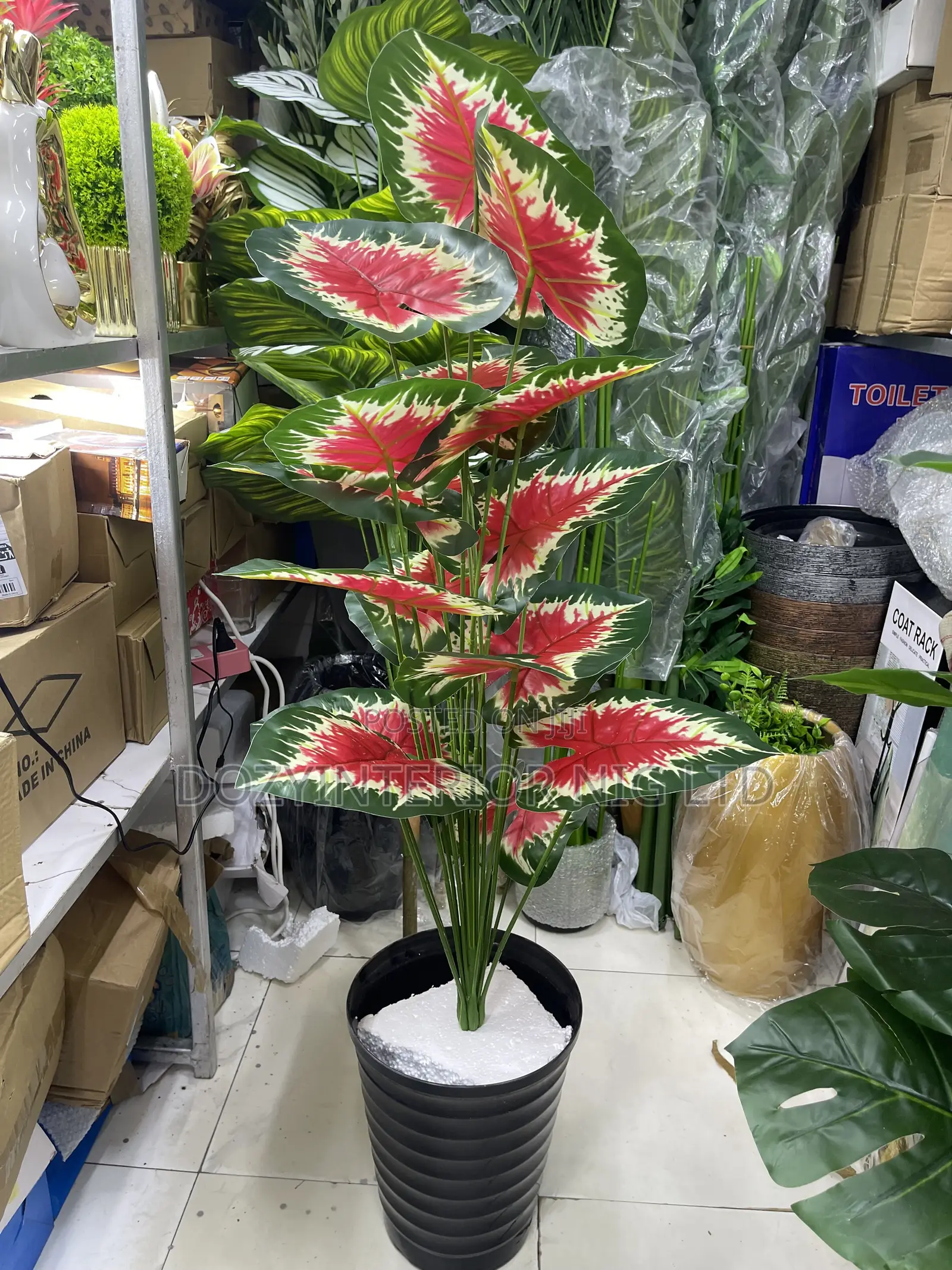 Amazing Standing Flowers