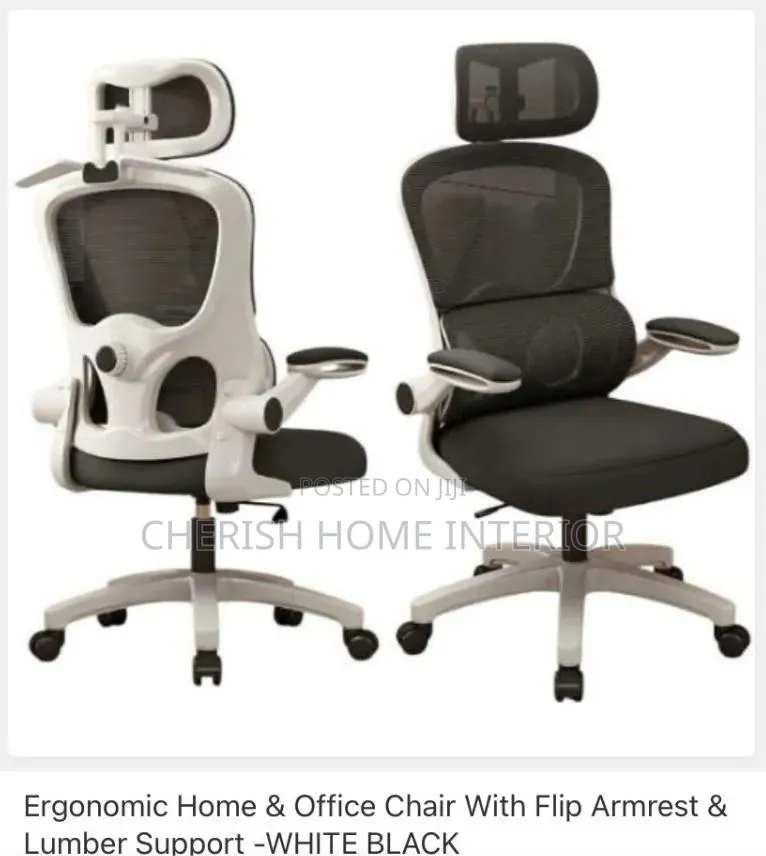Executive Office Net Chair